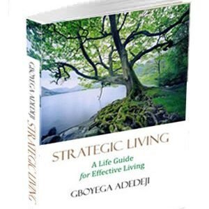 Strategic Living: A Life Guide for Effective Living